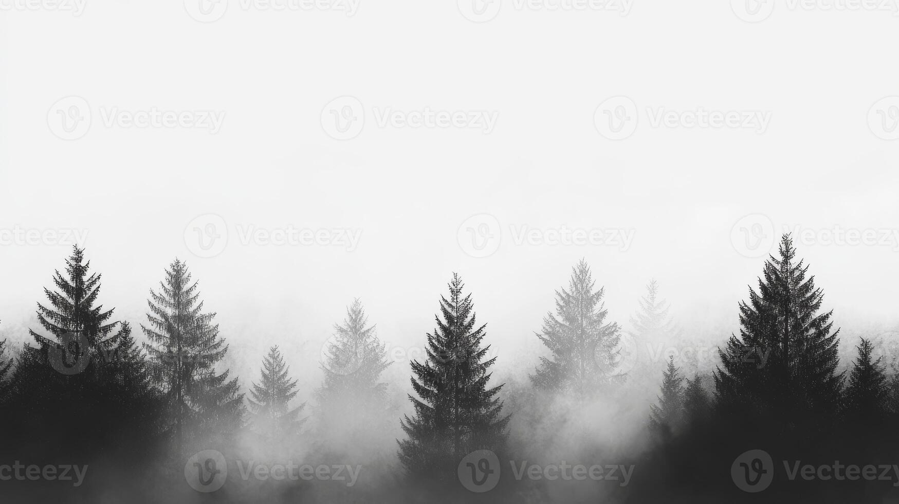 This scene offers a serene view of towering pine trees shrouded in soft fog, creating a tranquil atmosphere within natures untouched wilderness, inviting appreciation of its beauty photo