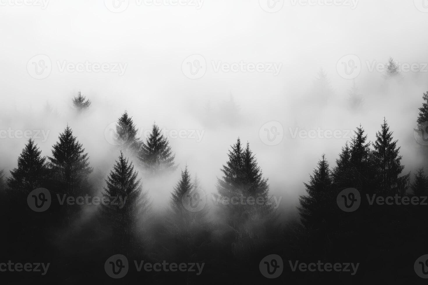 The enchanting view of a fogcovered forest beautifully showcases the elegant silhouette of tall pine trees standing majestically in a tranquil landscape, fully embracing the serene beauty of nature photo