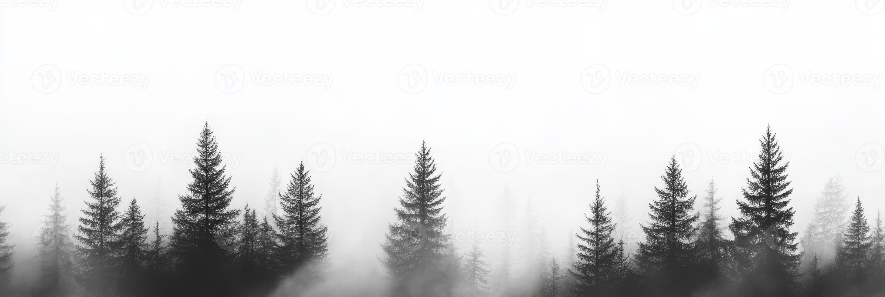This beautiful and tranquil scene showcases a misty forest featuring silhouetted pine trees that collectively envelop the entire landscape in an overwhelmingly emotional and serene atmosphere photo