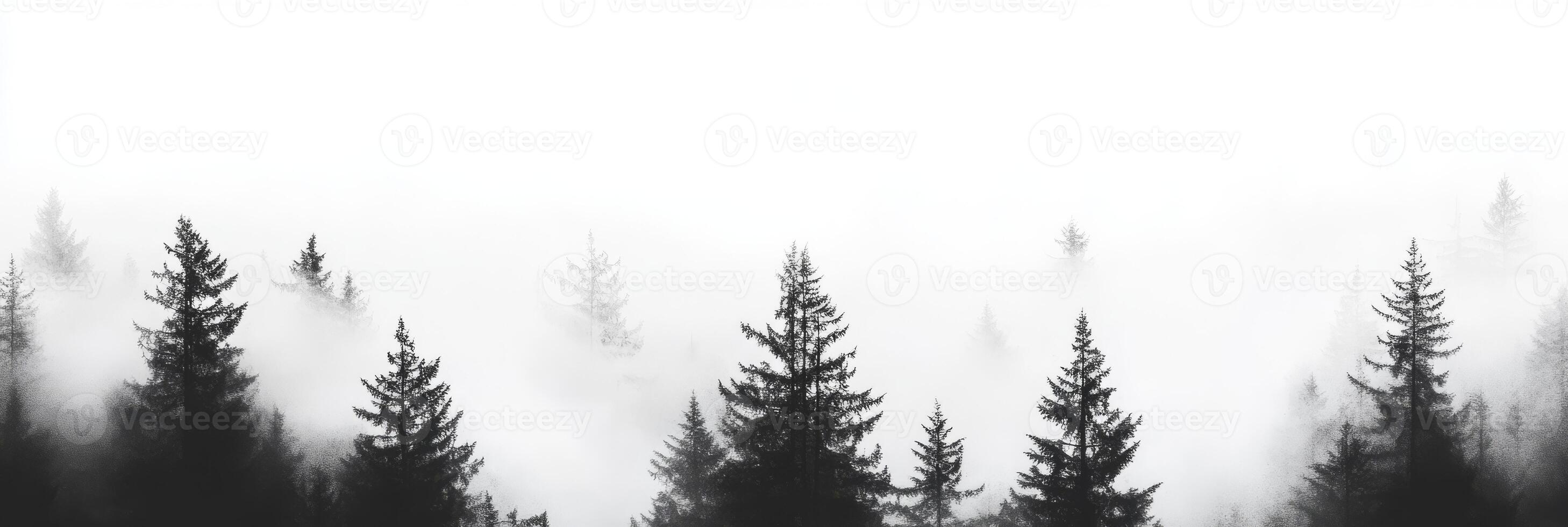 A beautiful and tranquil landscape depicts elegant silhouette pine trees that are shrouded in soft mist, which together create a soothing, serene, and emotionally captivating atmosphere within nature photo