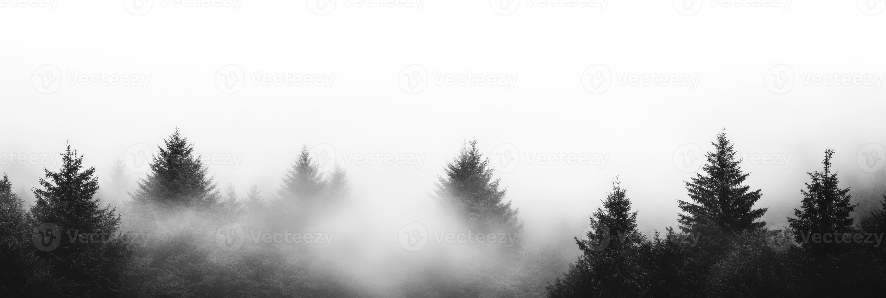 This is a tranquil and serene image of a misty forest that showcases dark, towering pine trees along with a minimalistic and atmospheric landscape that invites deep reflection and peace photo