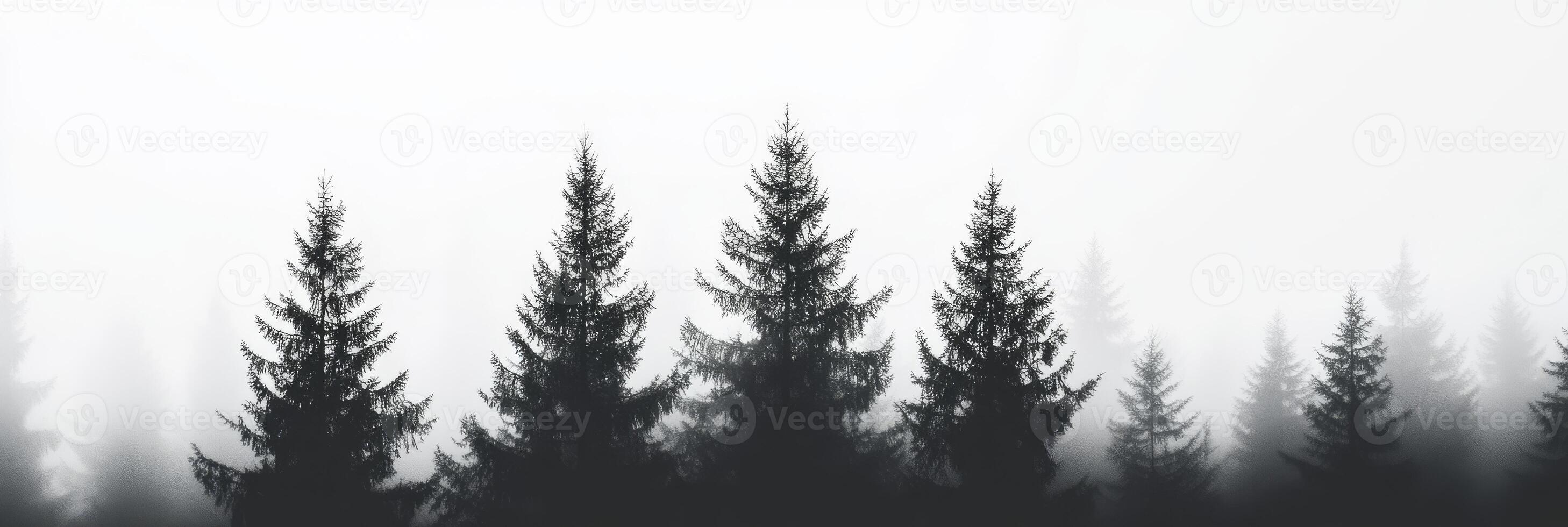 A captivating and enchanting misty pine forest, showcasing striking silhouettes of tall trees delicately shrouded in dense fog, which together create a profoundly emotional and tranquil atmosphere photo