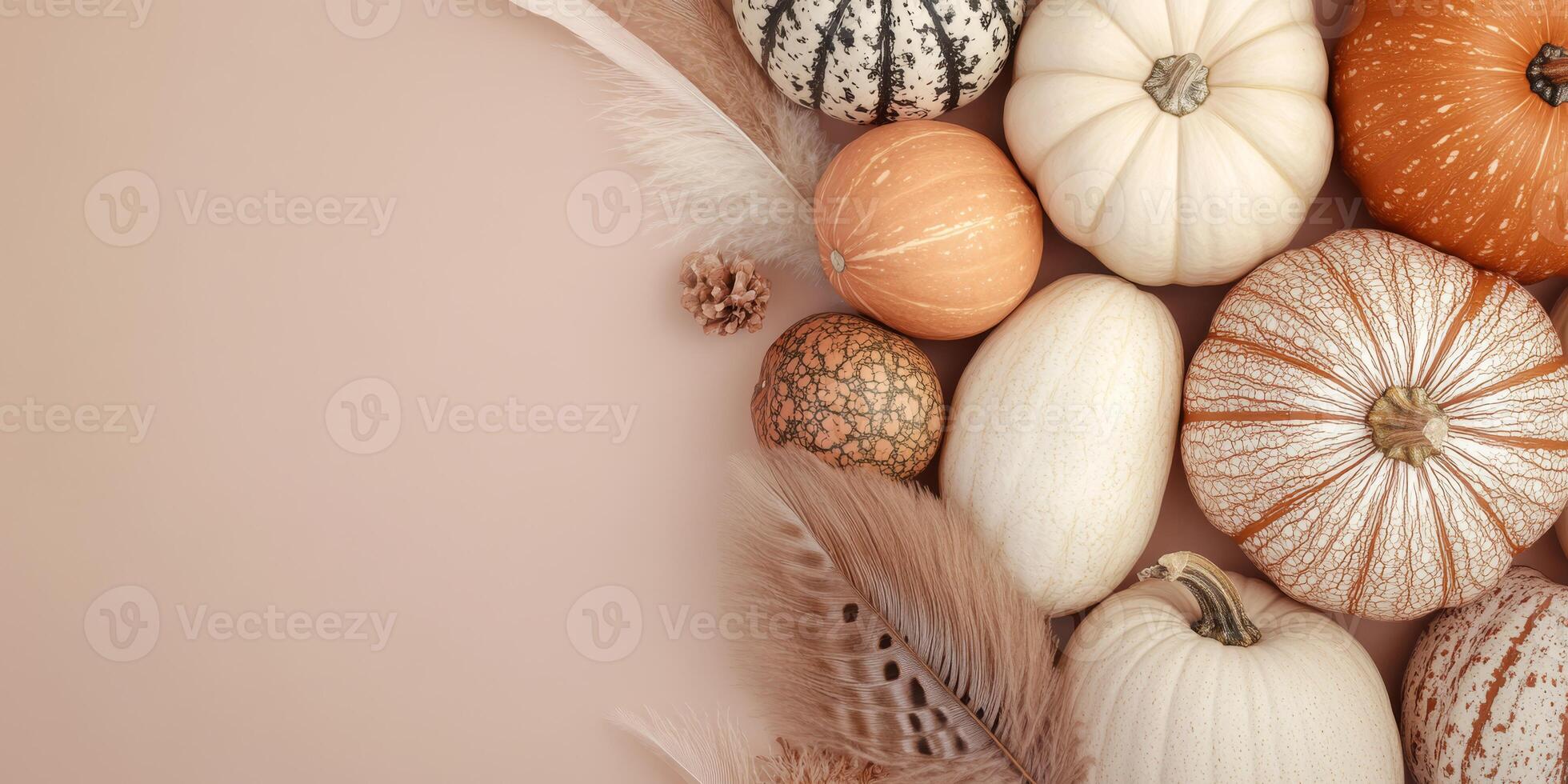 A beautifully cozy arrangement of decorative pumpkins and feathers set against a soft pastel background, making it perfect for fallthemed projects and festive seasonal celebrations that bring joy photo