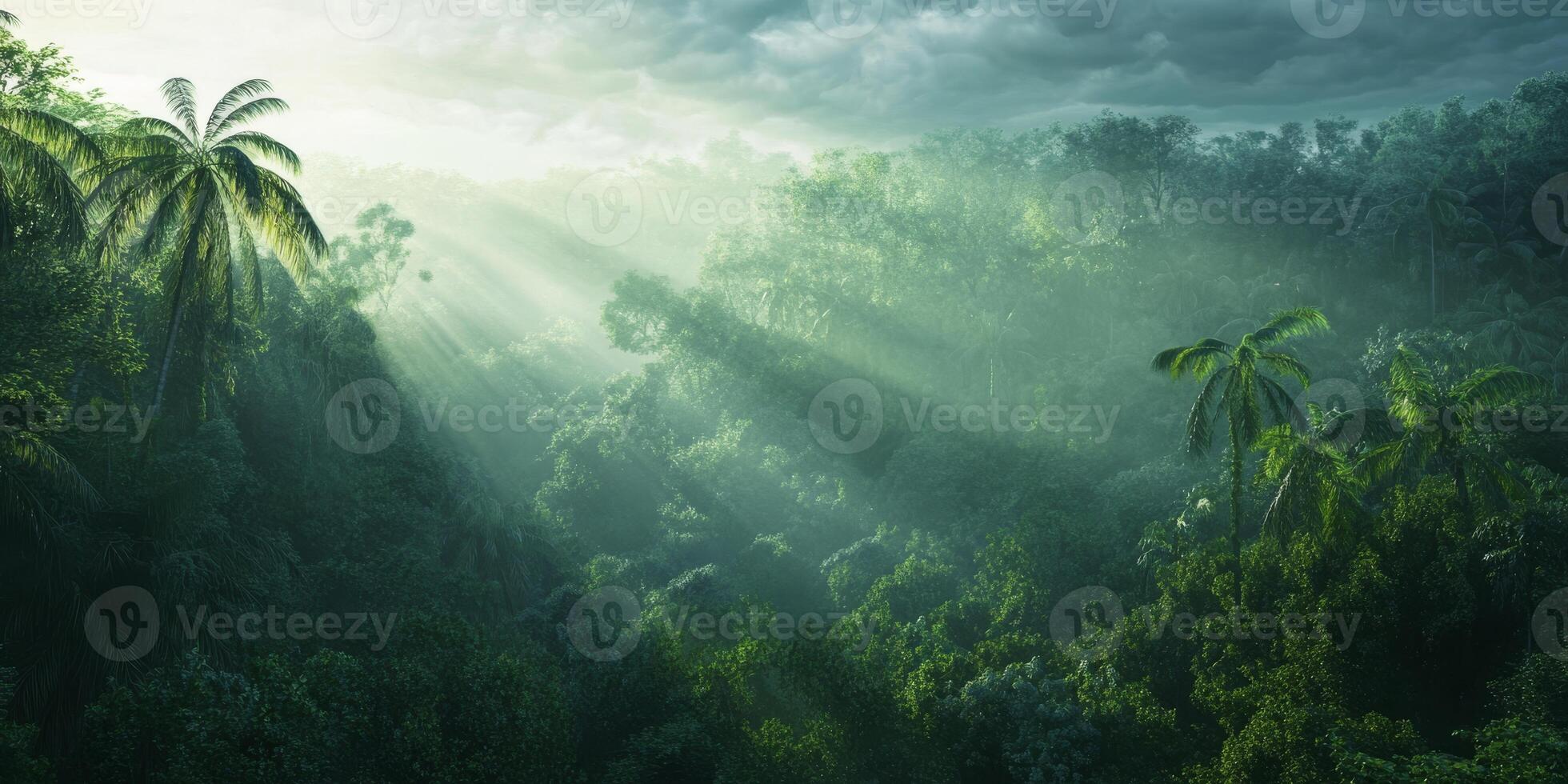 A beautiful and serene tropical jungle landscape where sunlight gracefully breaks through the lush foliage photo
