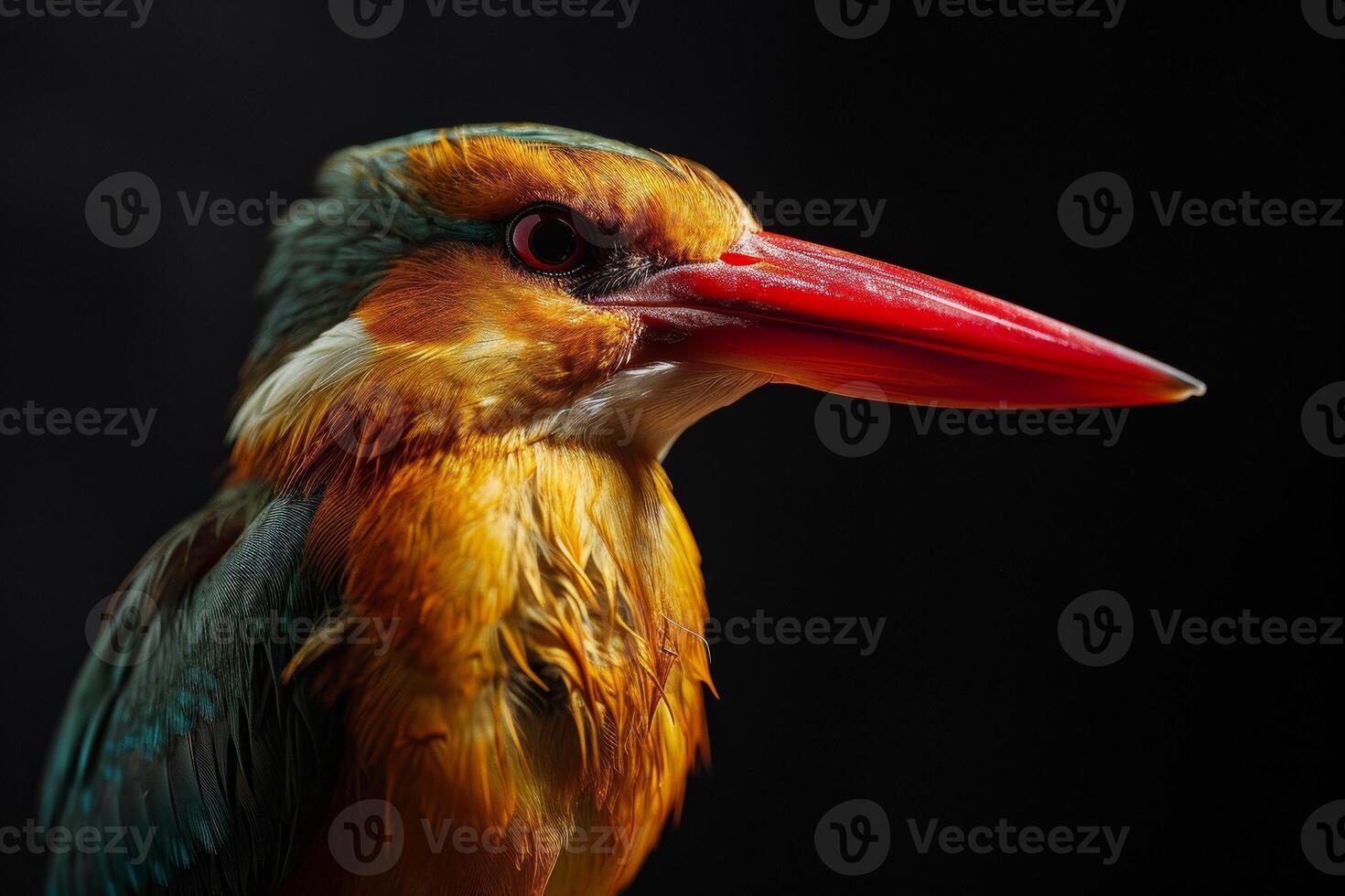 A colorful bird with a long beak and a red beak photo