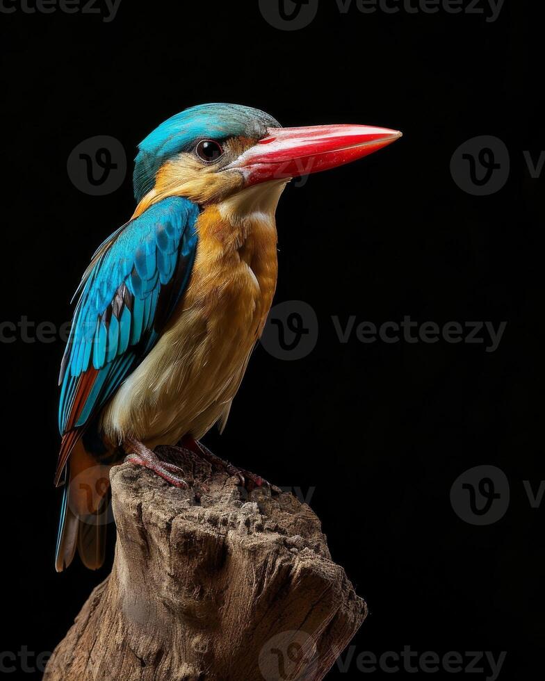 A colorful bird is perched on a tree branch photo