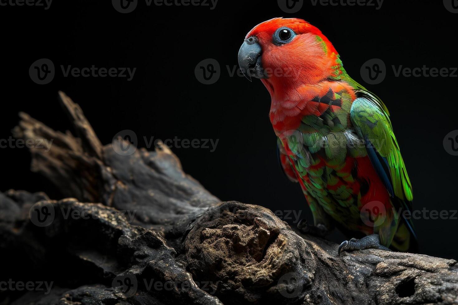 A colorful bird is perched on a branch photo
