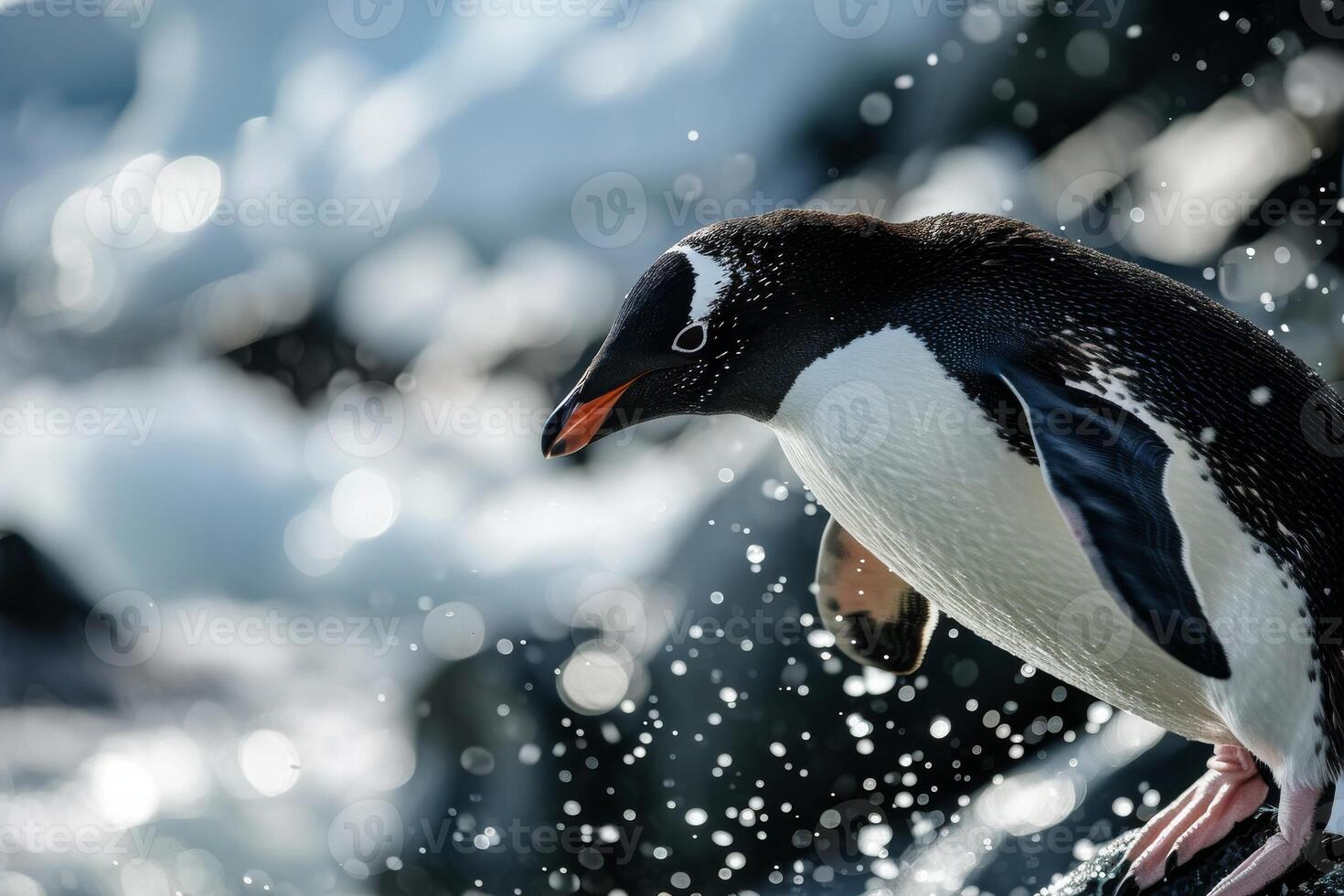 A penguin standing on the rocks with water splashing photo