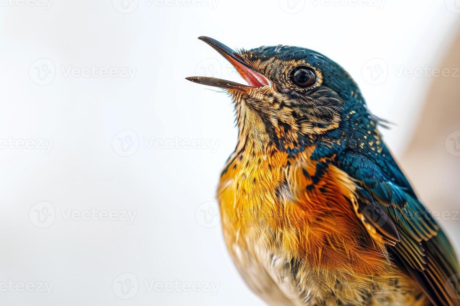 A small bird with a beak open and a mouth open photo