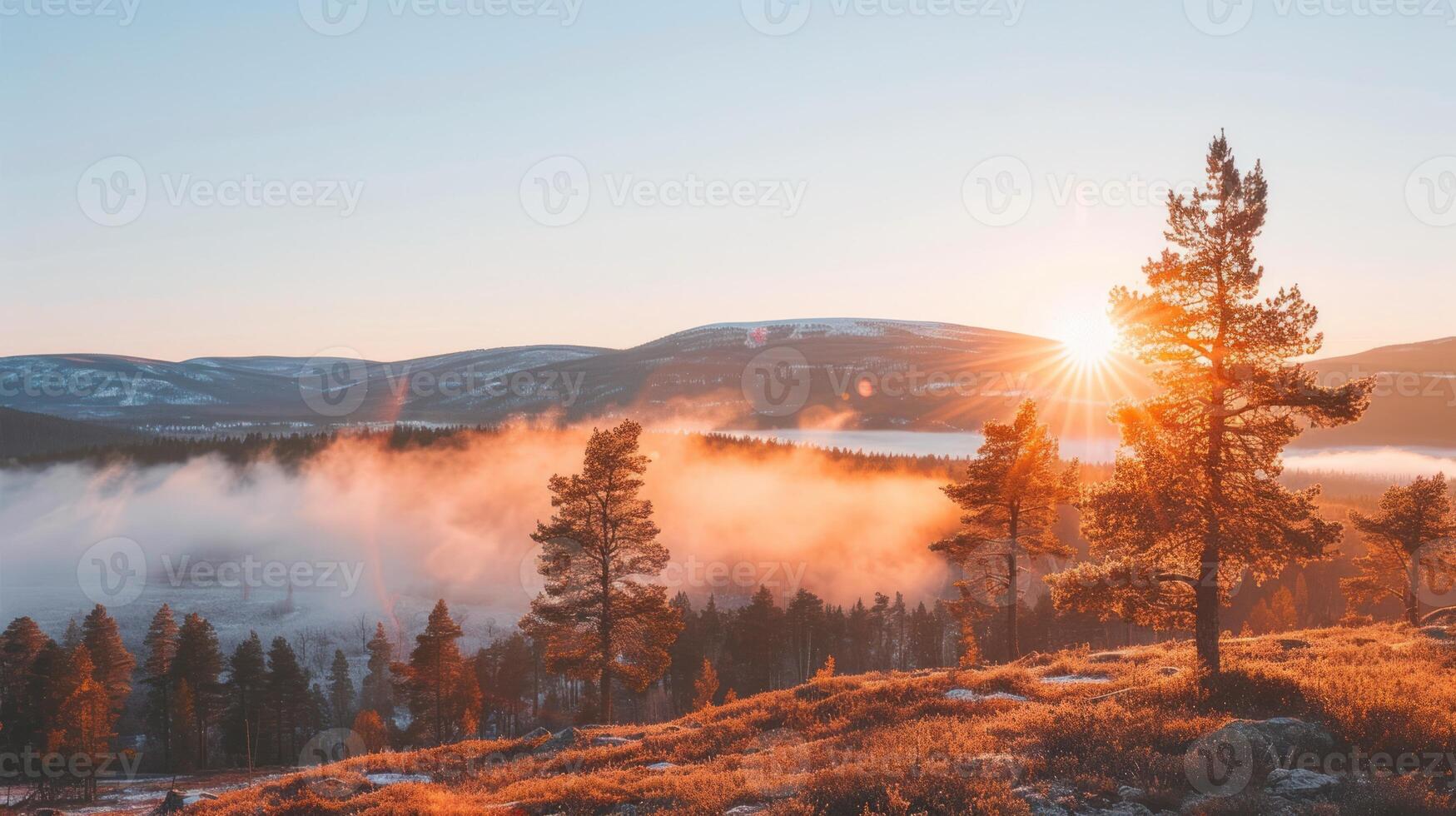 Sunbeams Through Morning Fog in the Mountains photo