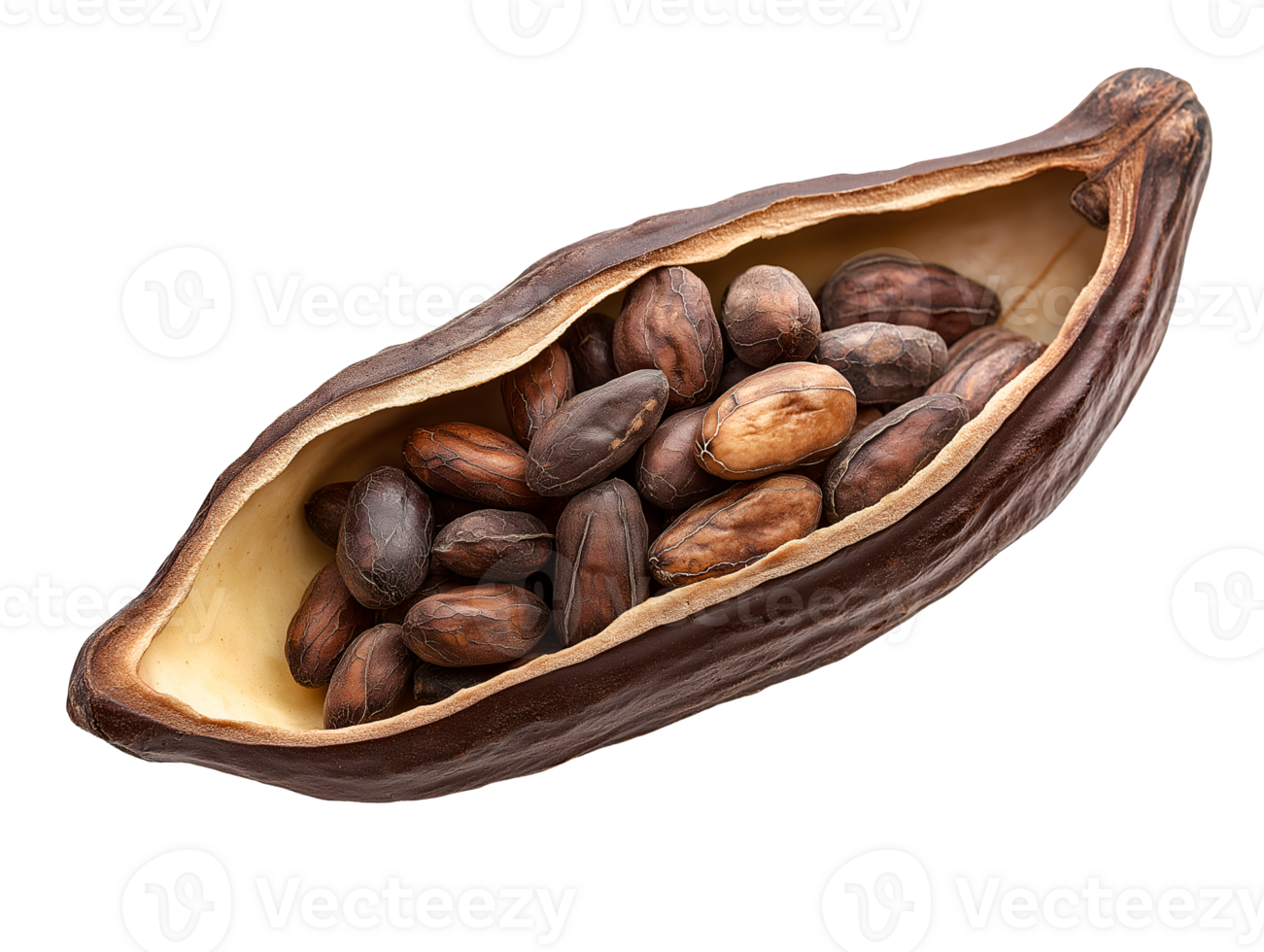a opened fresh cocoa pods with dried beans on isolated background png