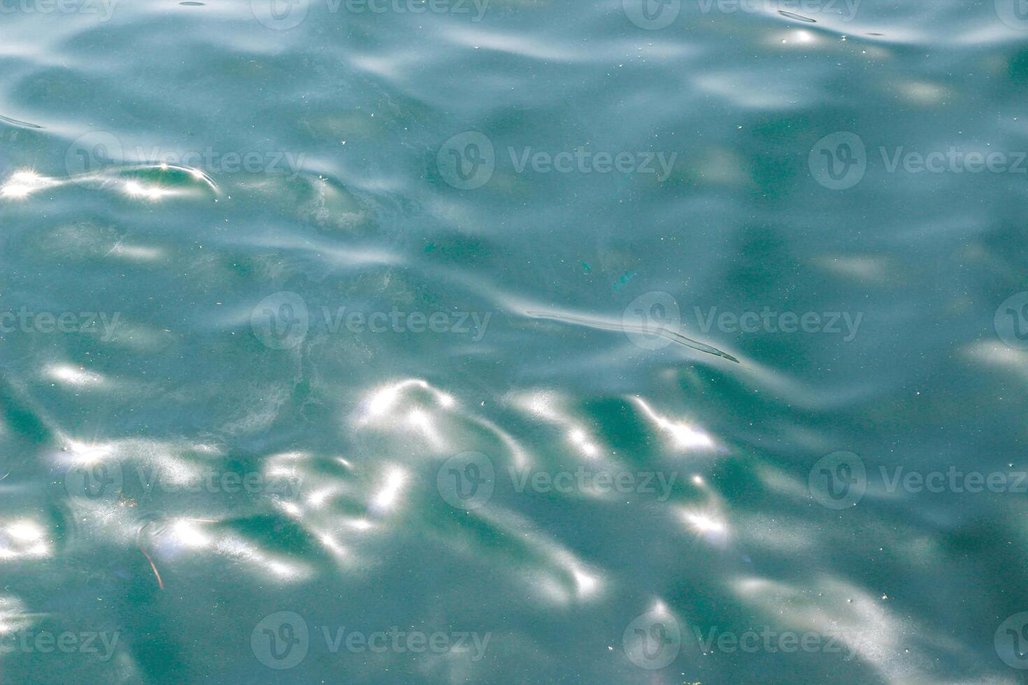 water surface of the sea. turquoise texture. photo