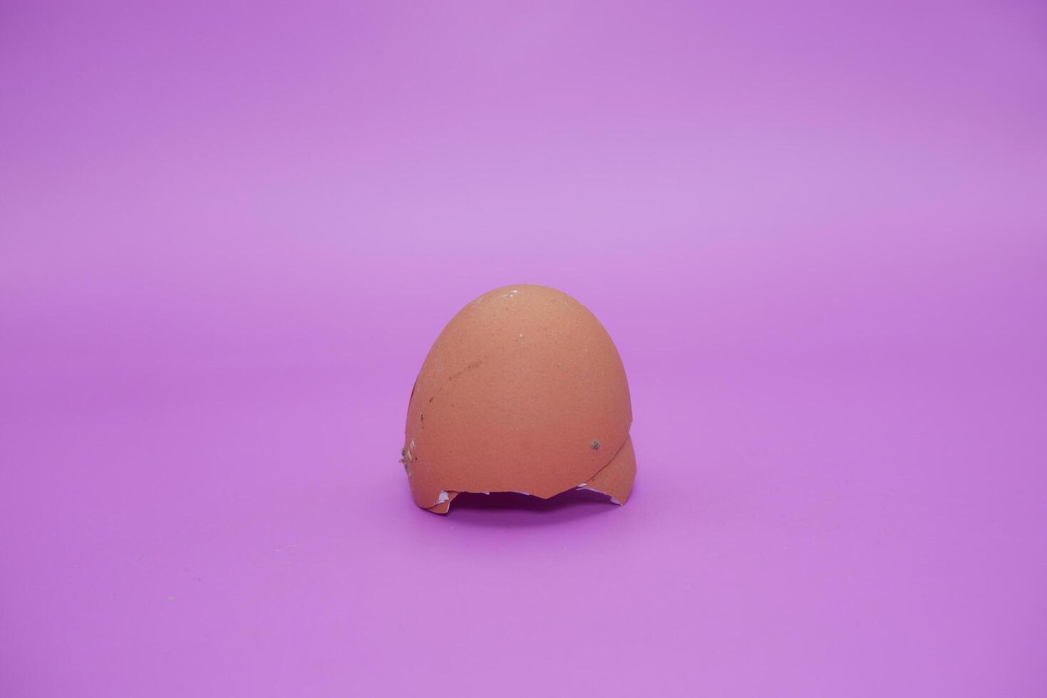 an egg shell isolated on purple background photo