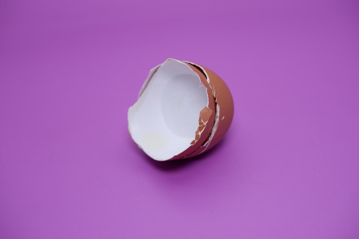 an egg shell isolated on purple background photo