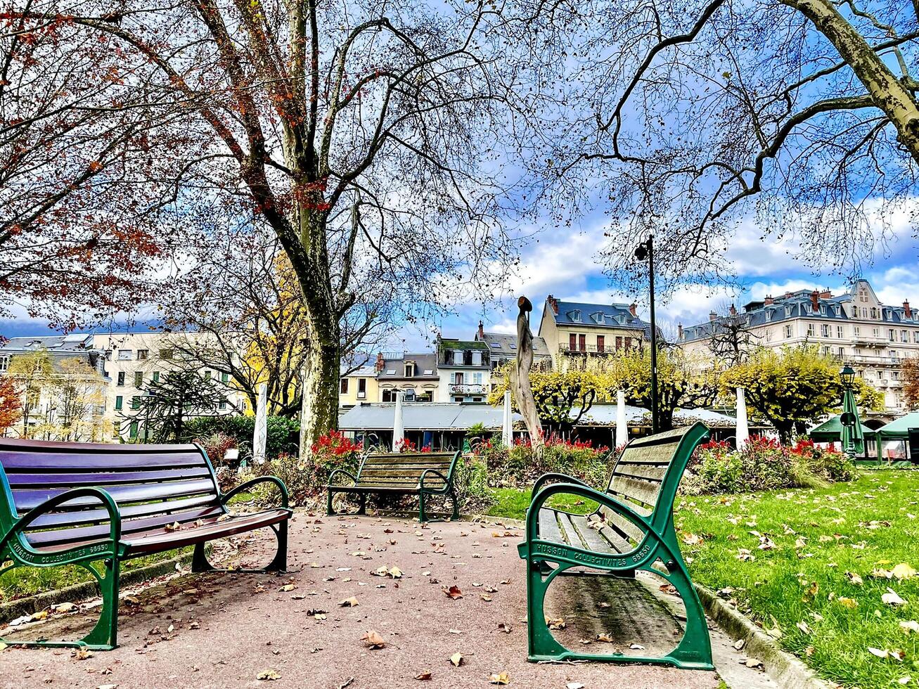 Benches in a park with colorful leaves, trees and blue sky in autumn photo