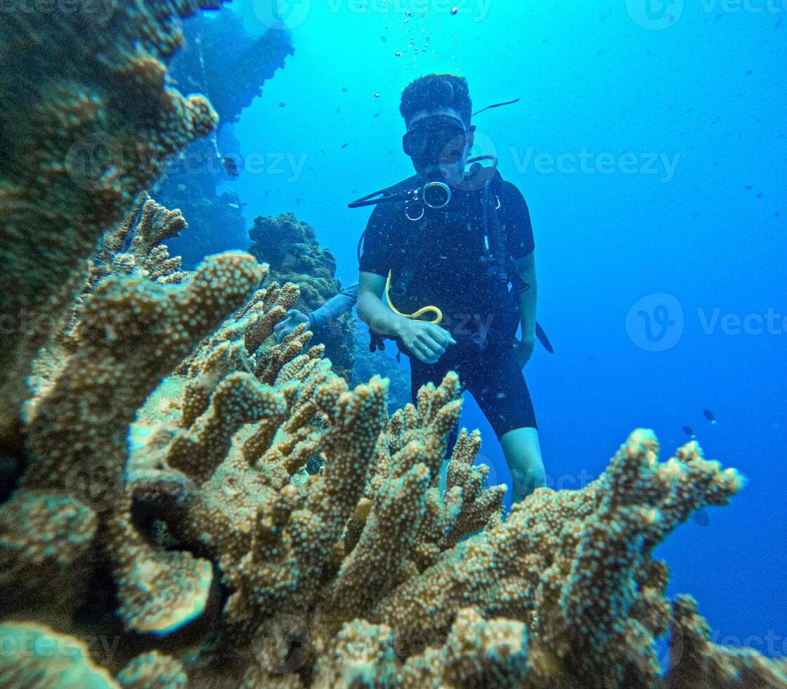 Scuba Diving Exploration in Coral Reef photo