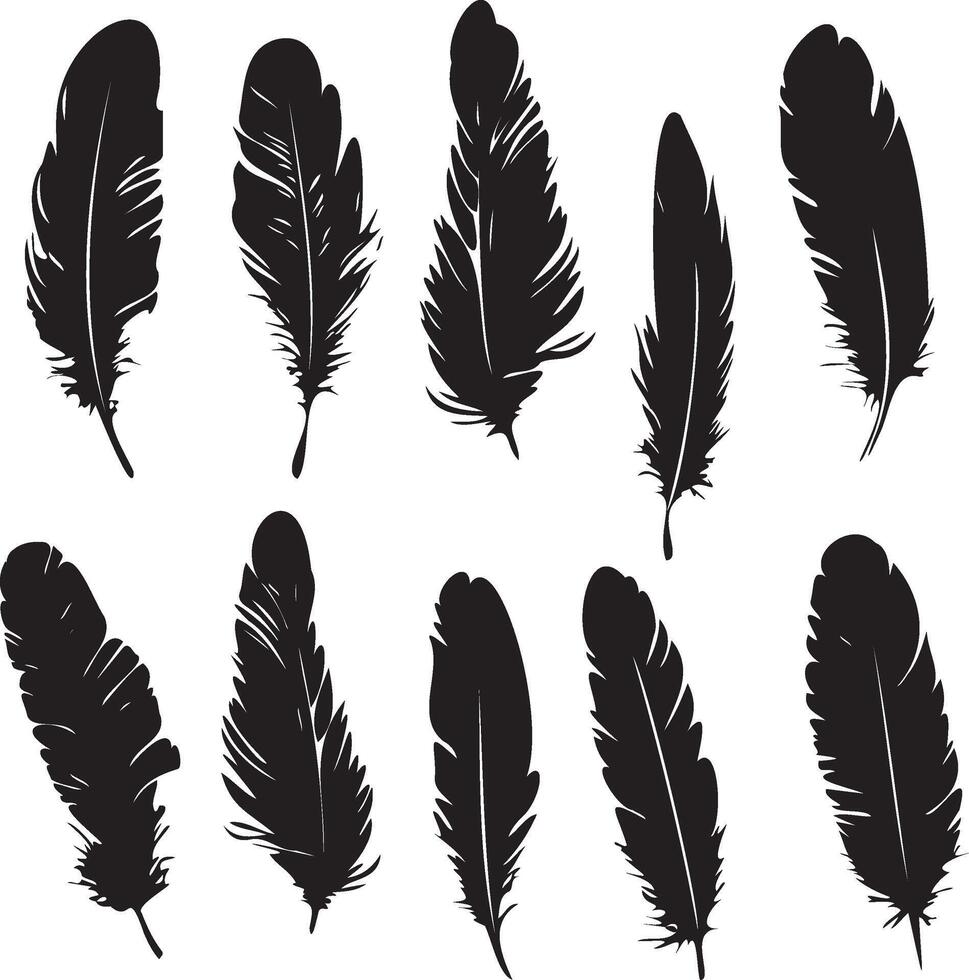Feather set black silhouettes vector