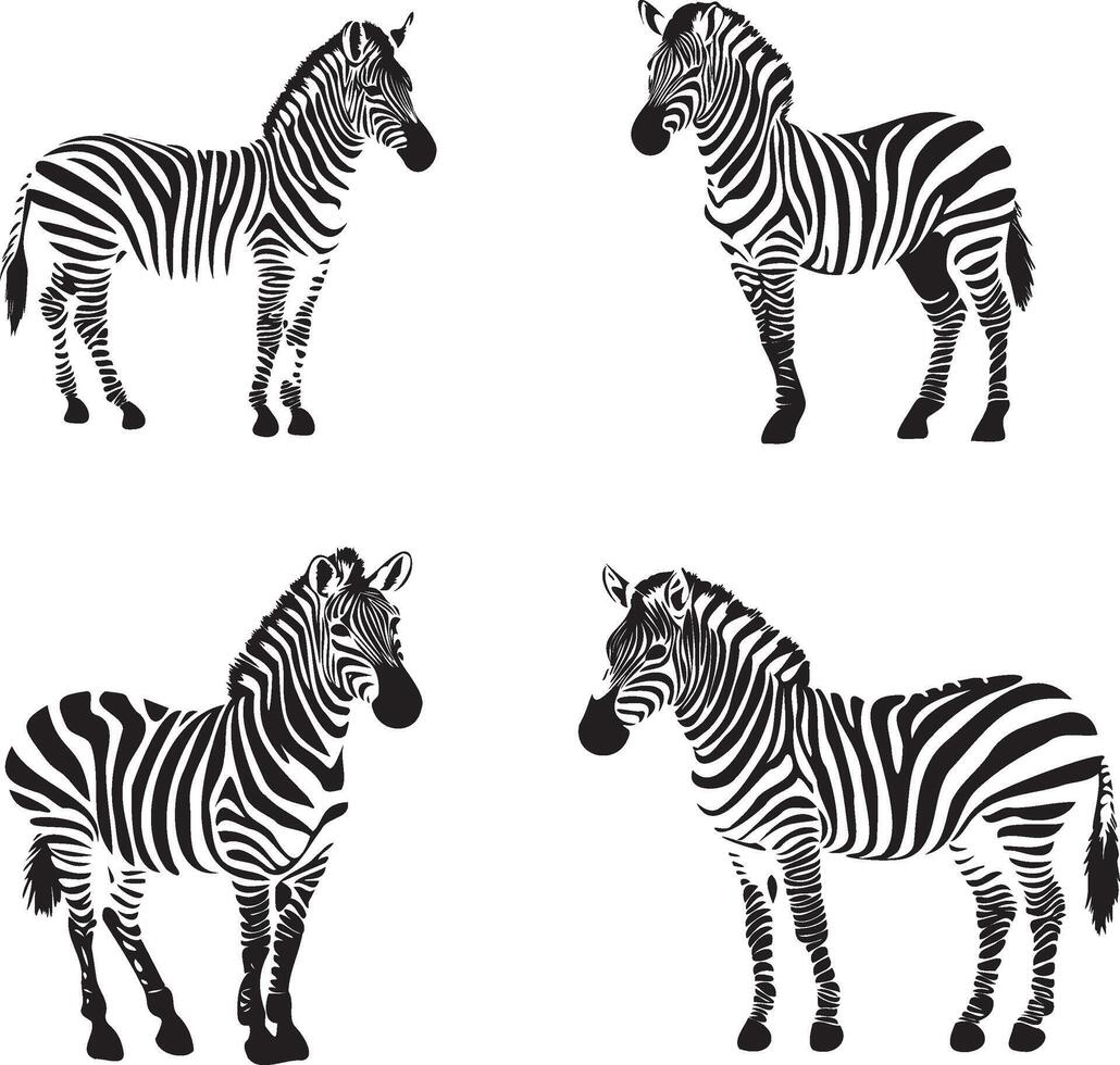 Zebra black silhouette set vector