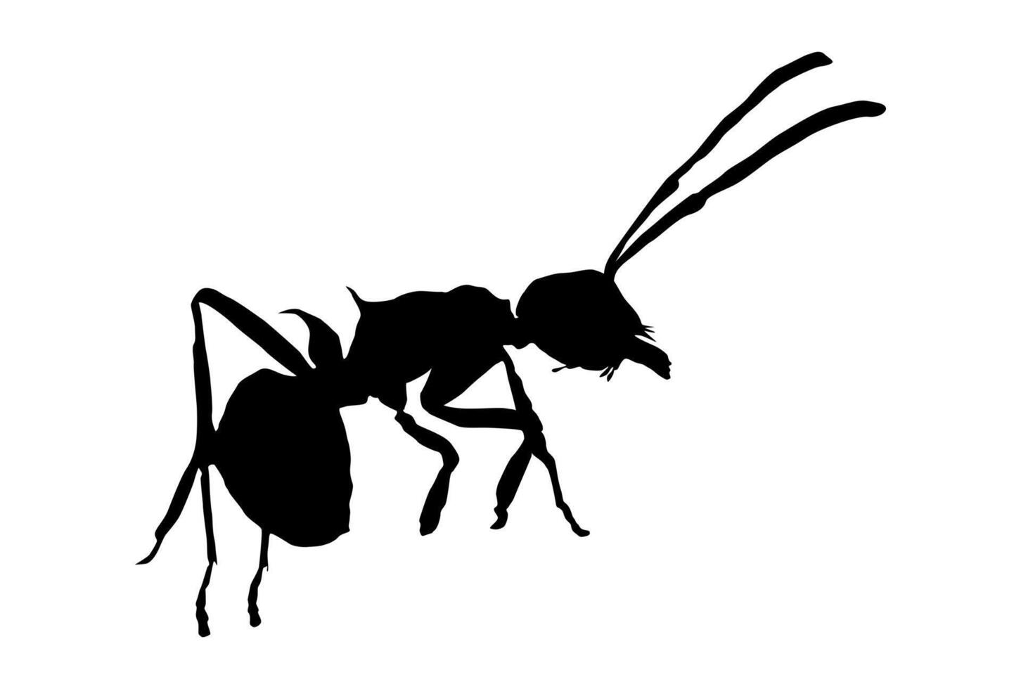 Black Ant Silhouette, Minimalist Insect Design vector