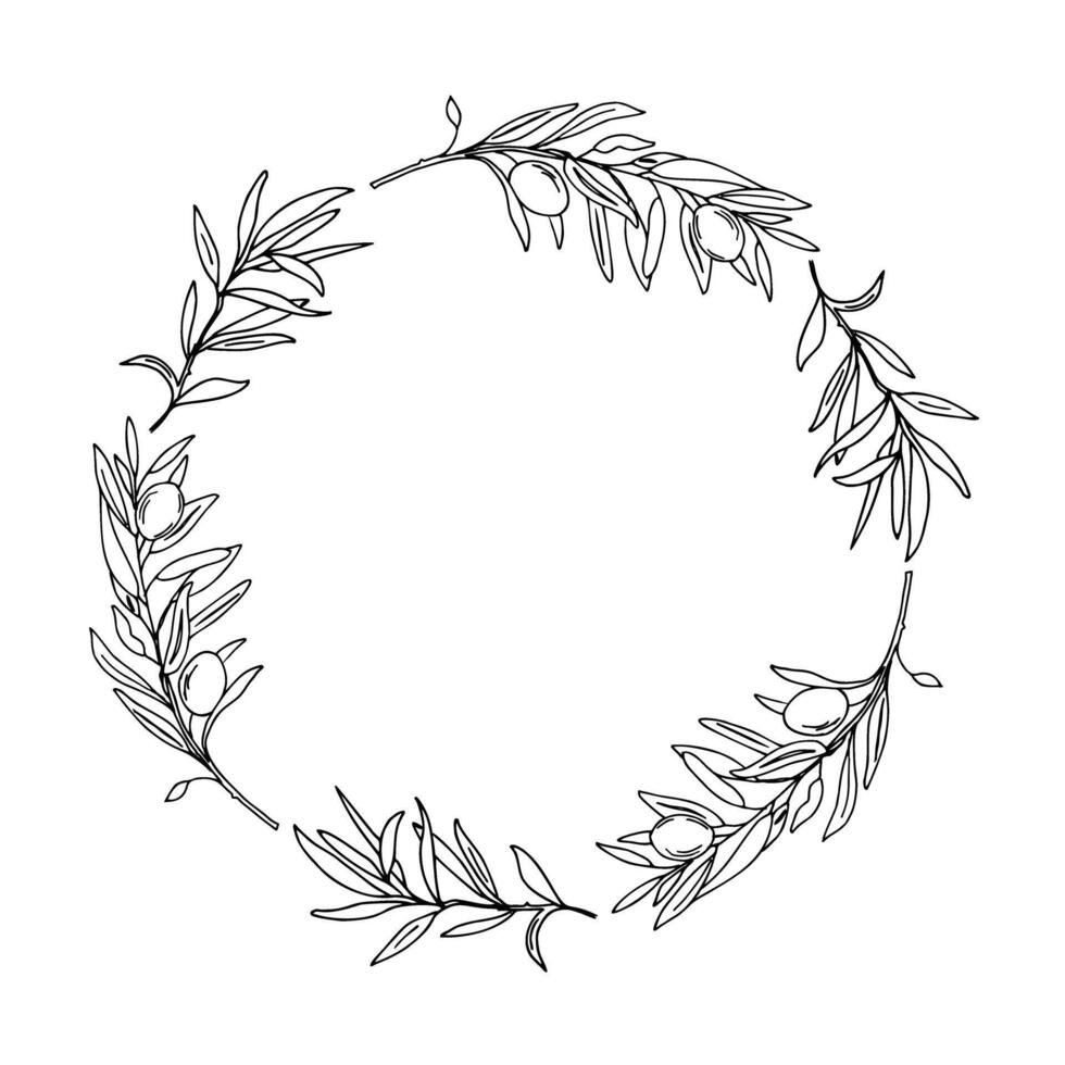 Olive Wreath with olives. Hand drawn ink isolated botanical illustration. Can be used for cards, emblem, logos and food design. vector