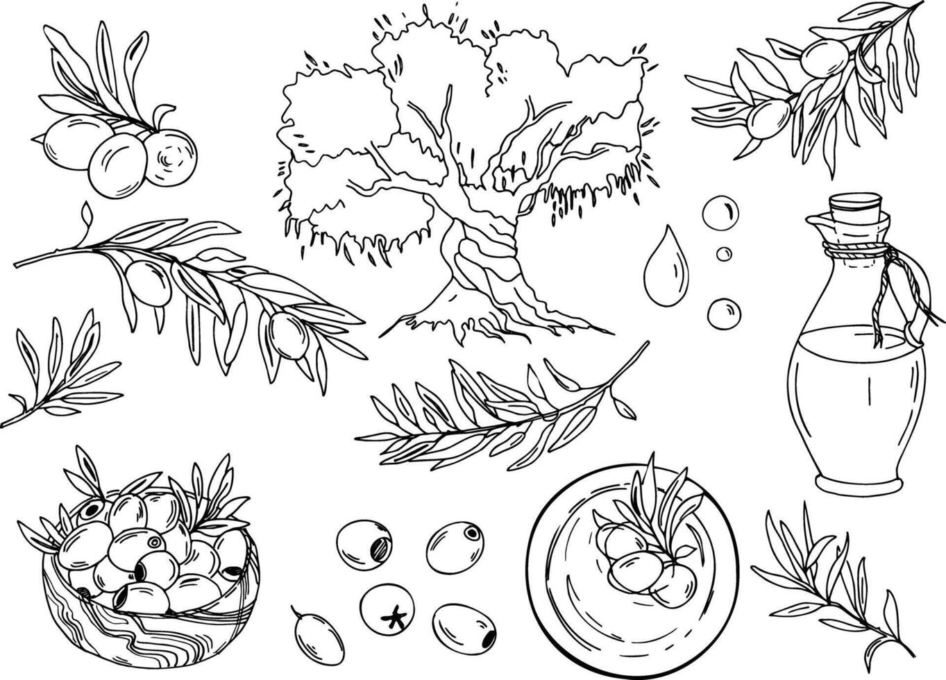 Olive Set, Branches, olive Tree, Glass Jug and Bowl with Oil and berries, Wooden bowl with fruits, Oil Drops. Hand drawn Graphic illustration isolated, Ink drawing. vector