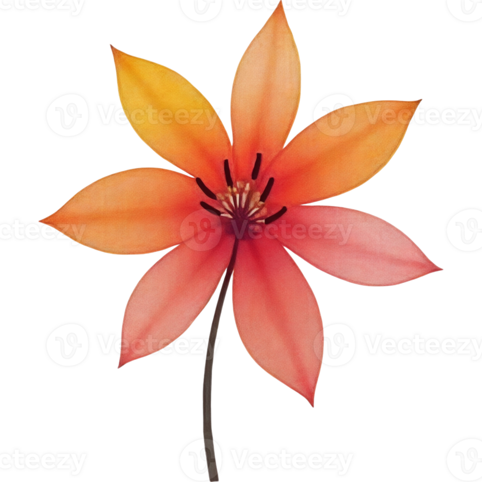 A flower with a stem and petals is shown in a close up png