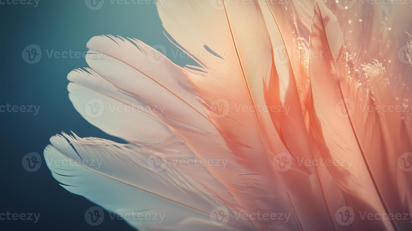 The metaphor of feathers photo