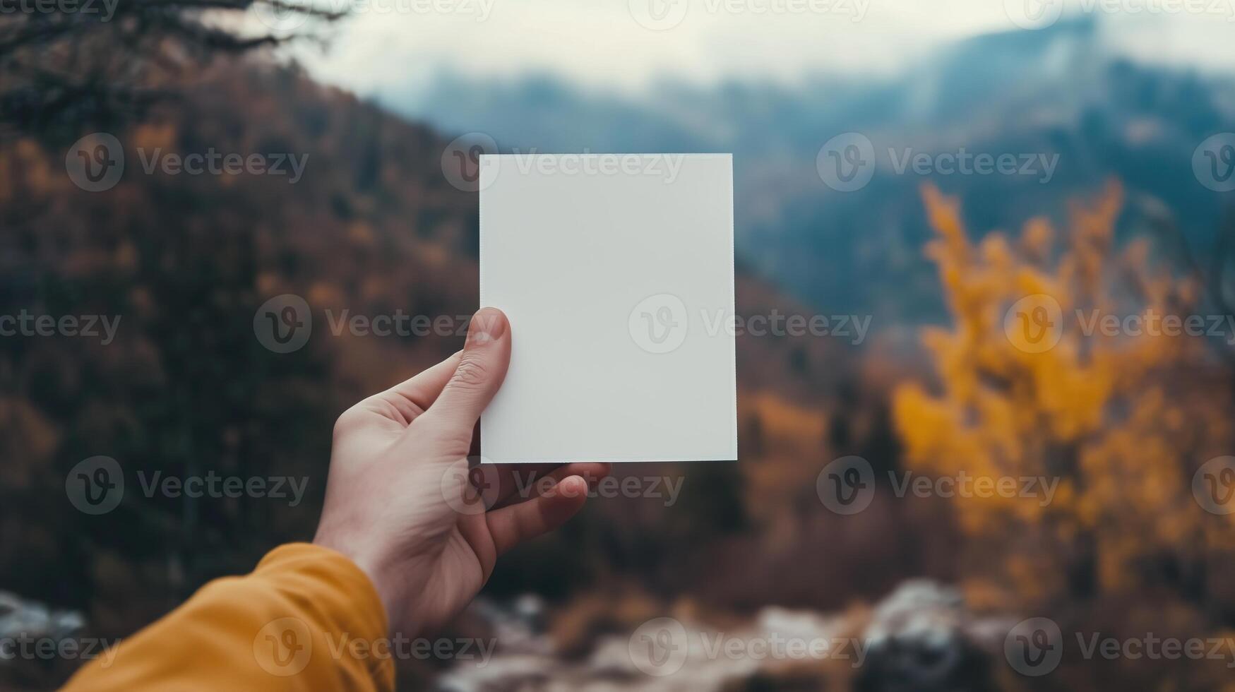 Close-up of a person's hand holding blank polaroid photo