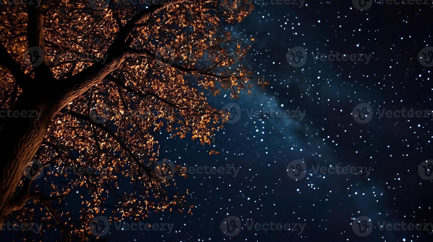 night sky space photo