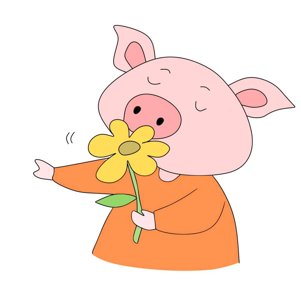 Pig smelling a flower png