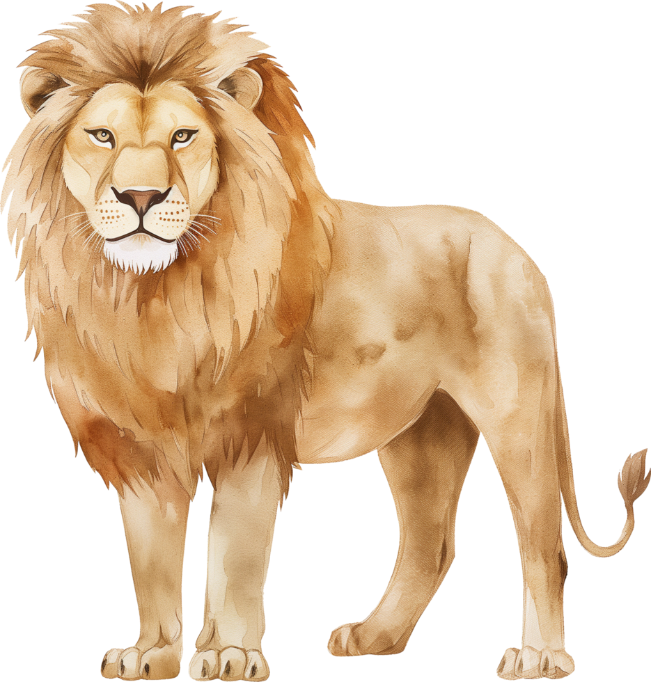 Cute lion watercolor for web png