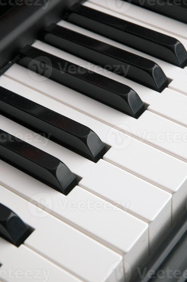 Piano Keys Close Up in Nashville Music Studio photo