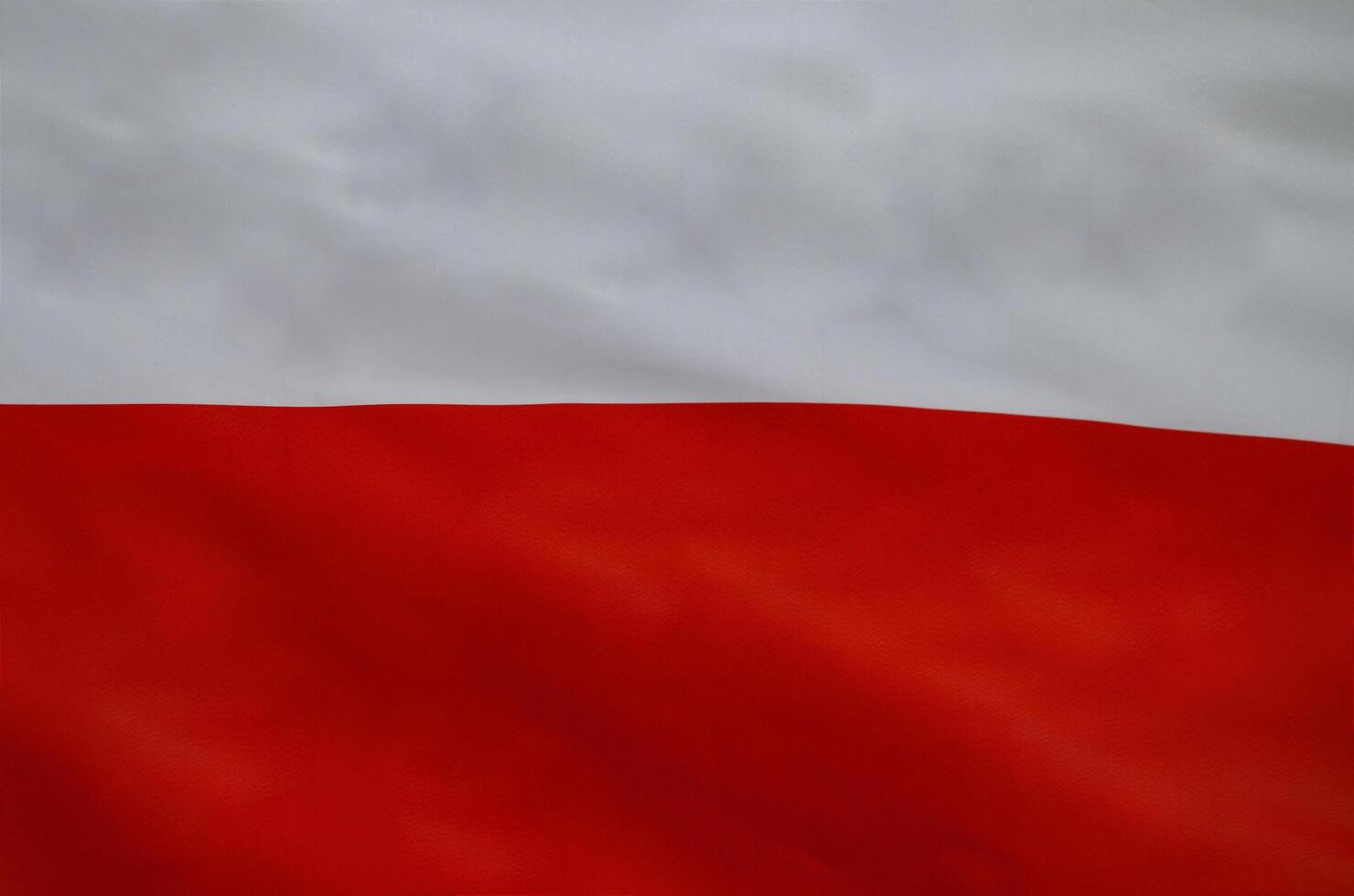 The national colors of Poland, the white and red flag. photo