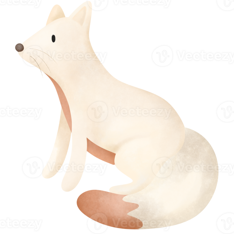 a sitting red fox png