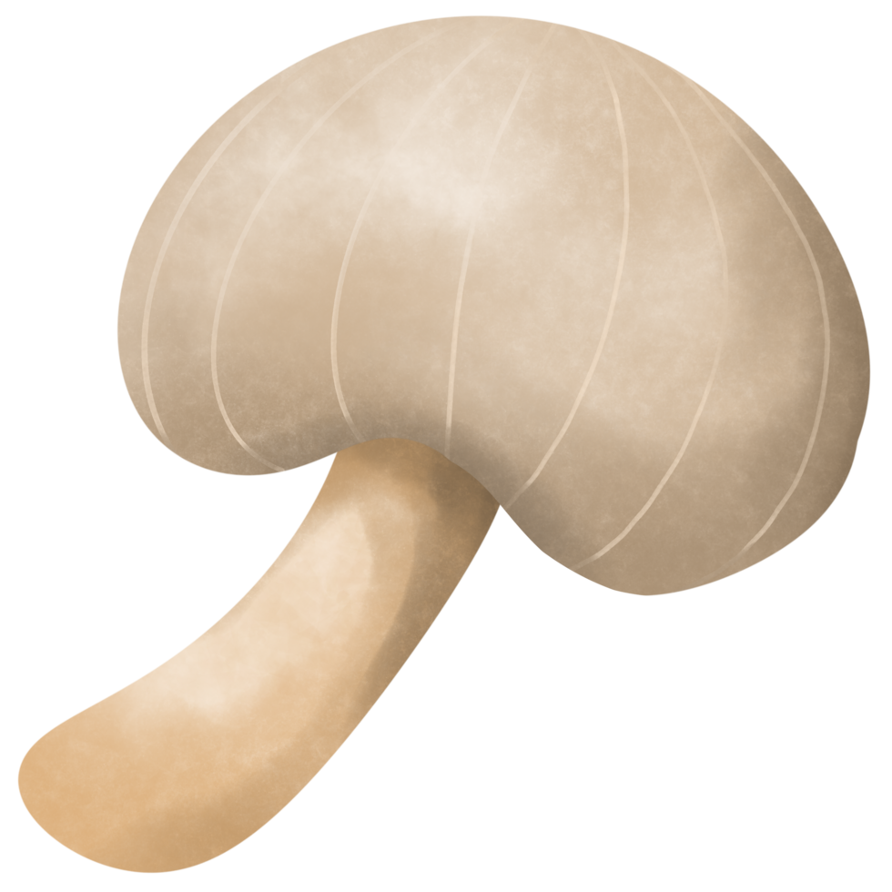 mushroom in autumn forest png