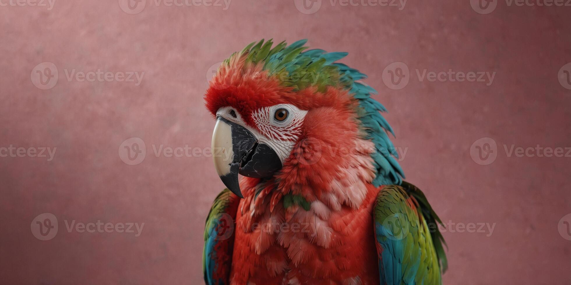 Green-winged Macaw with Striking Feathers on Pink Background. photo