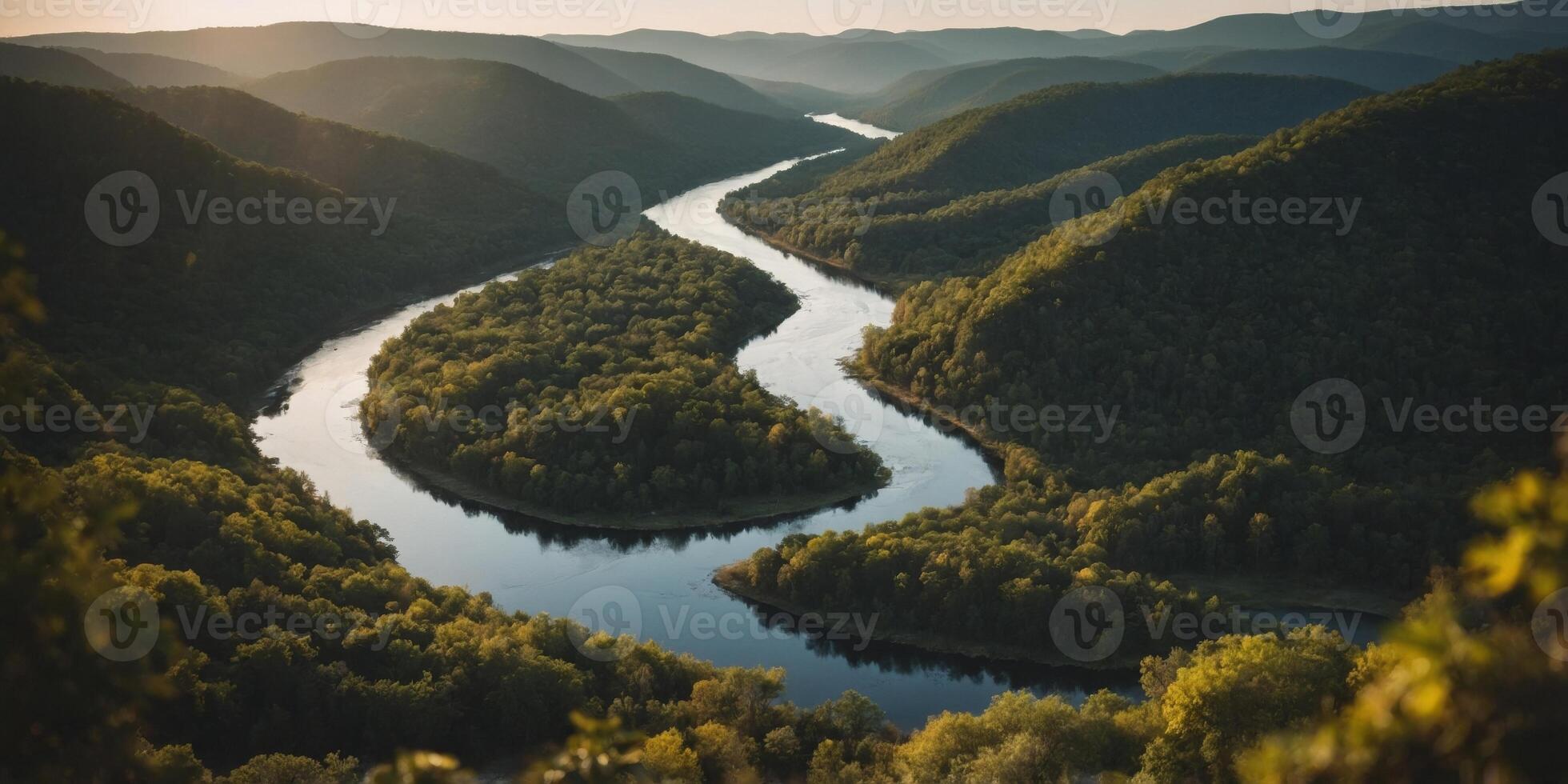 Aerial View of a River Winding Through a Lush Forest. photo