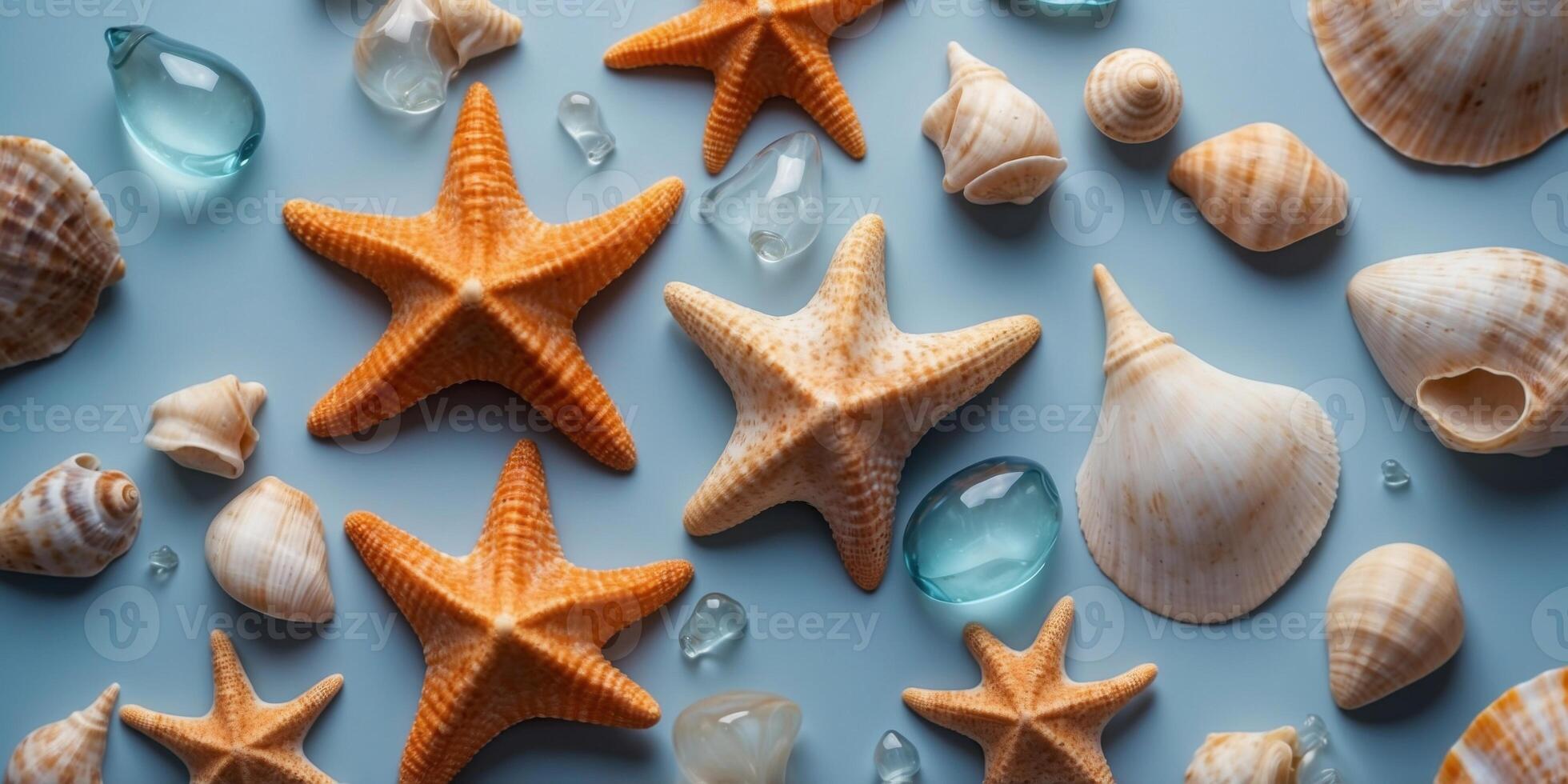 Sea Shells and Starfish on Light Blue Background. photo