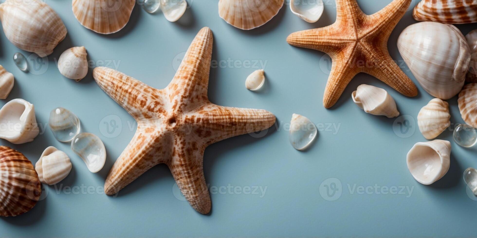 Sea Shells and Starfish on Light Blue Background. photo