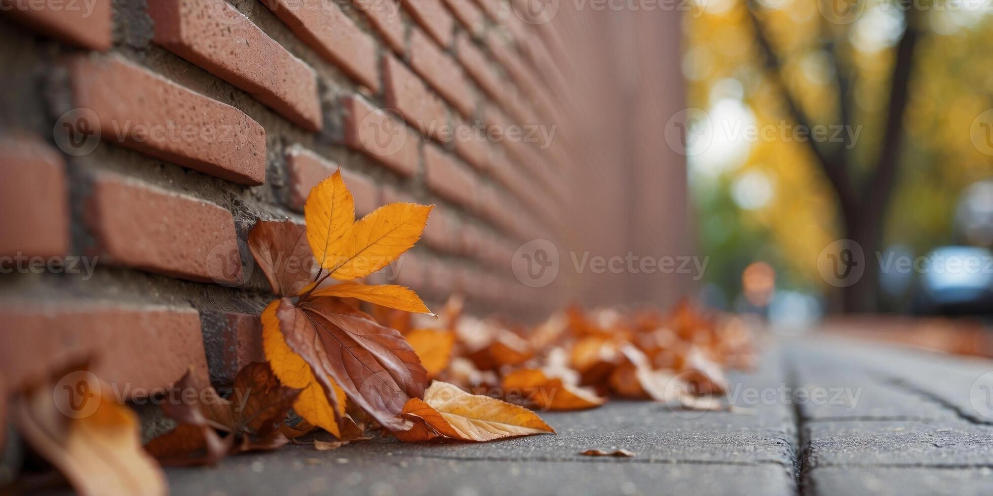 Weathered Brick Wall with Sidewalk and Leaves. photo