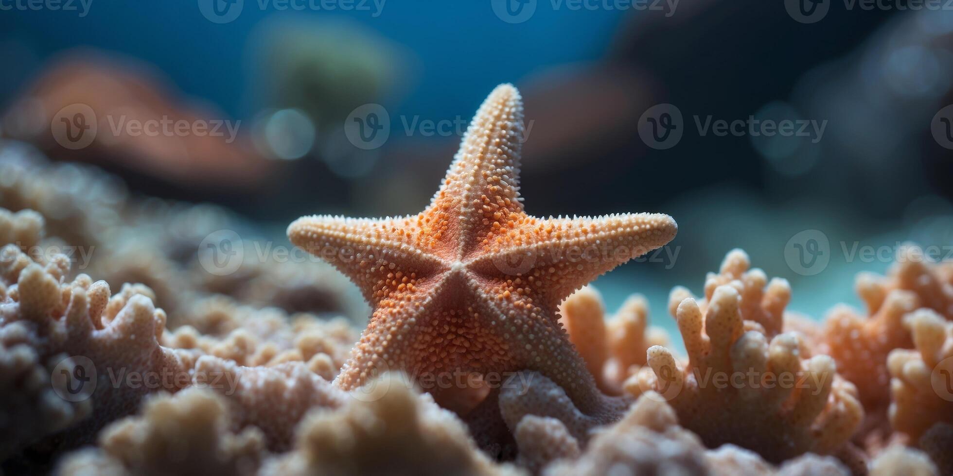 Starfish Resting on Coral Reef in Blue Water. photo