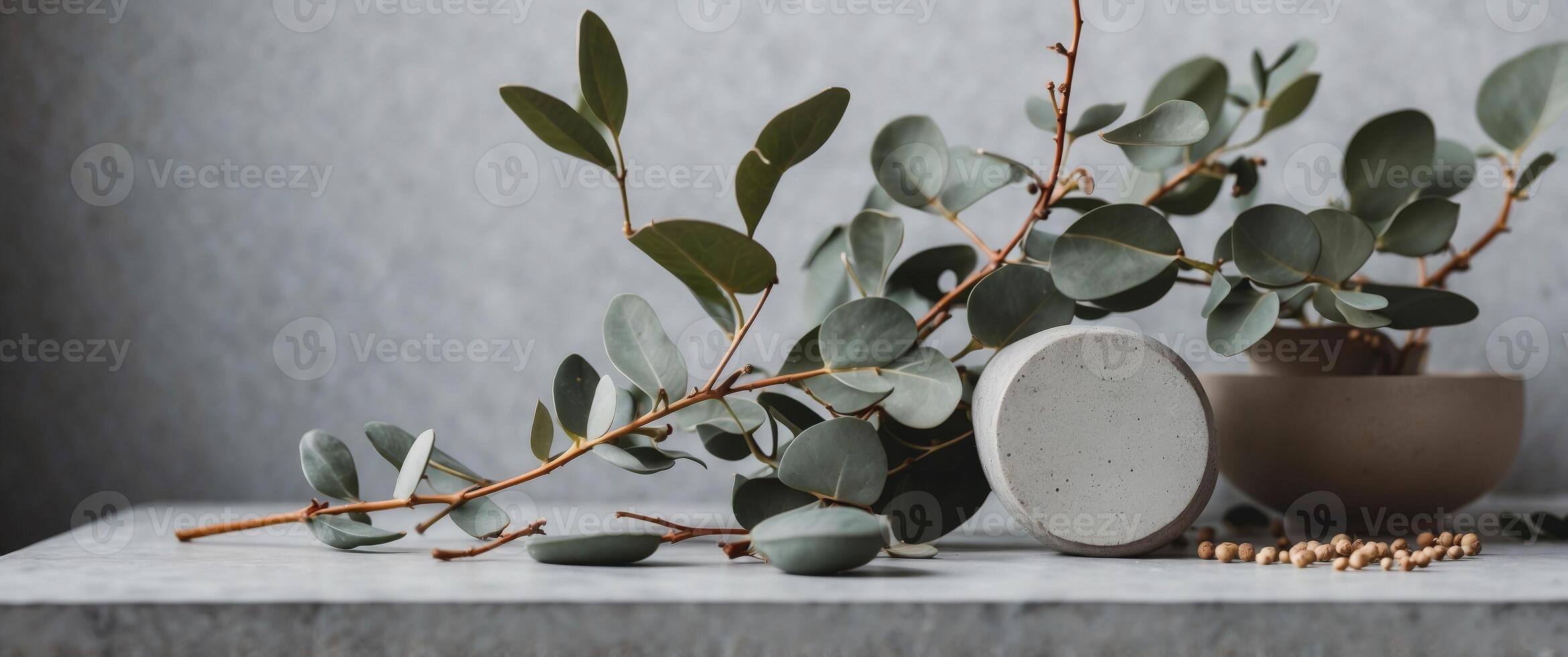 Creative minimalist composition with concrete circle and eucalyptus brunch. photo