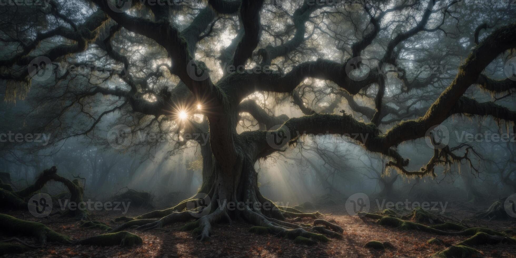In the ethereal moonlit forest, shadows dance among ancient trees, moss-kissed stones, and wisps of mist clinging to the boughs. photo