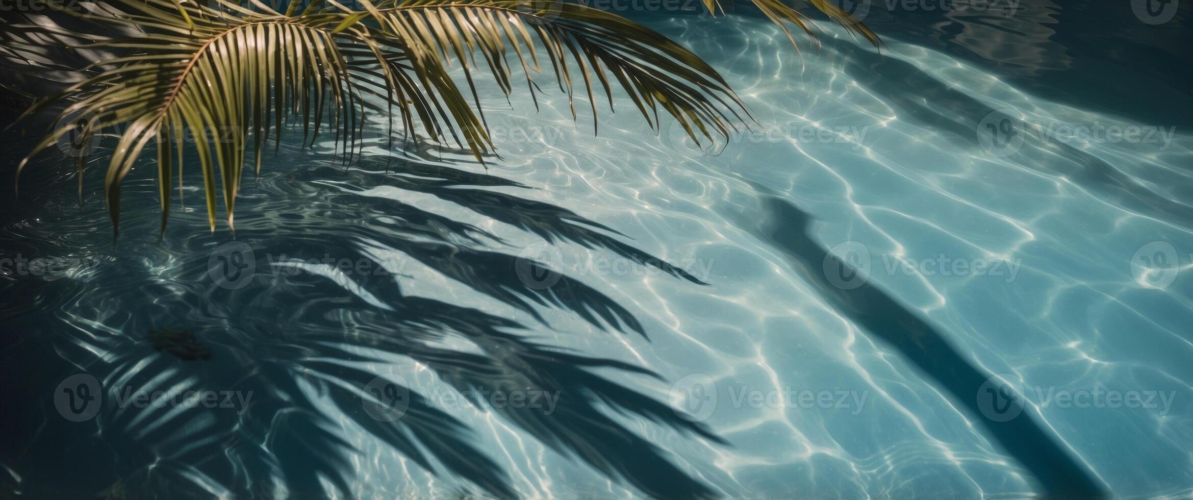 Tropical palm leaves casting shadows on a shimmering blue pool water A tranquil summer scene. photo