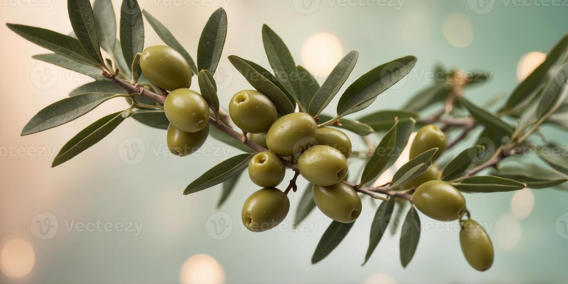 Olive Branch with Green Olives on a Pastel Background. photo