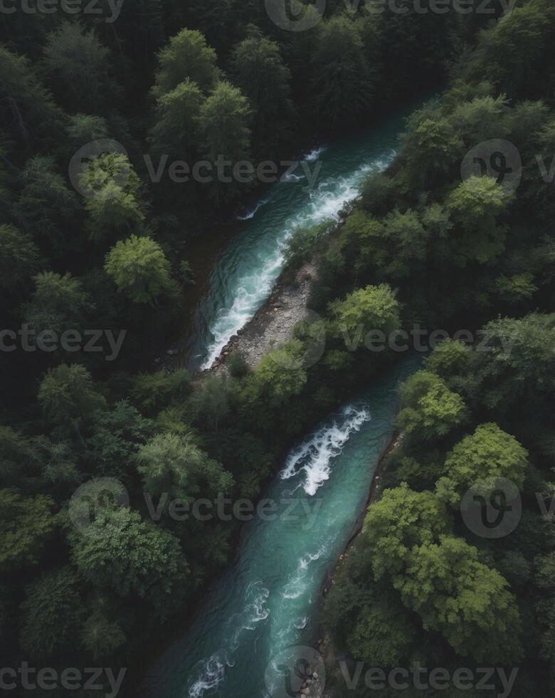 Aerial view of a river flowing through a dense green forest. photo
