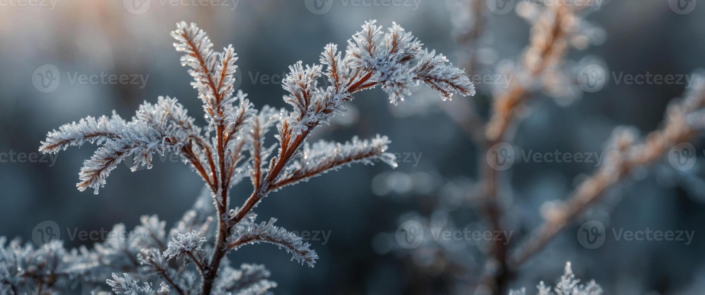close up hazy background image of hoarfrost outside. photo
