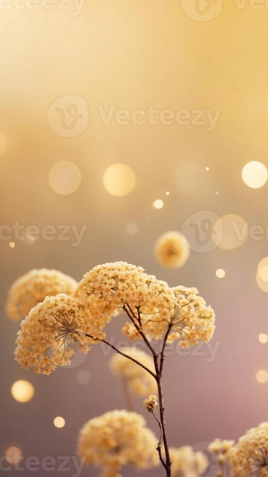 Warm and Cheerful Pastel Yellow Mock up Background Concept with Copy Space. photo