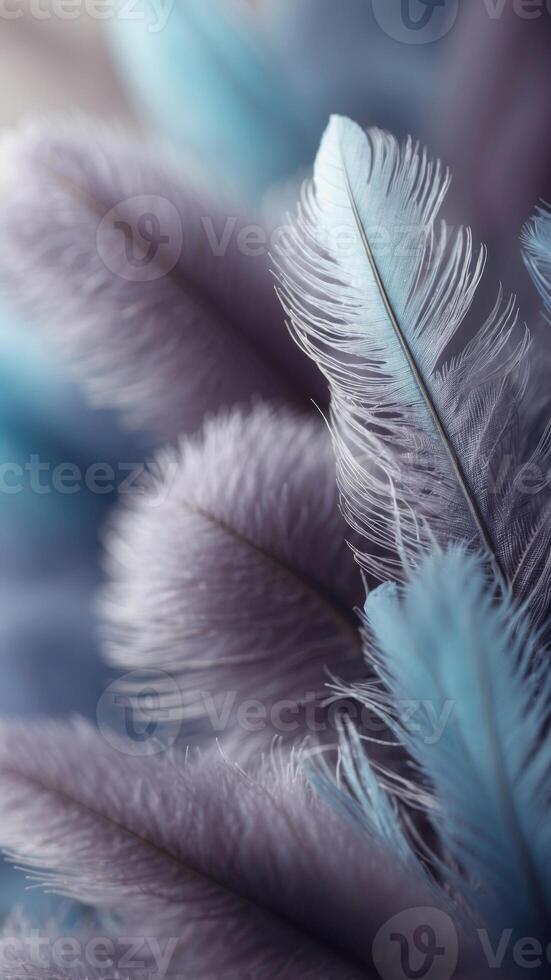 Soft and fluffy background with blue and purple feathers. photo