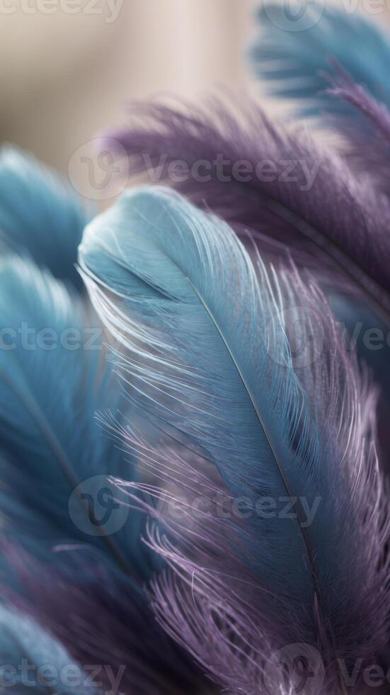 Soft and fluffy background with blue and purple feathers. photo